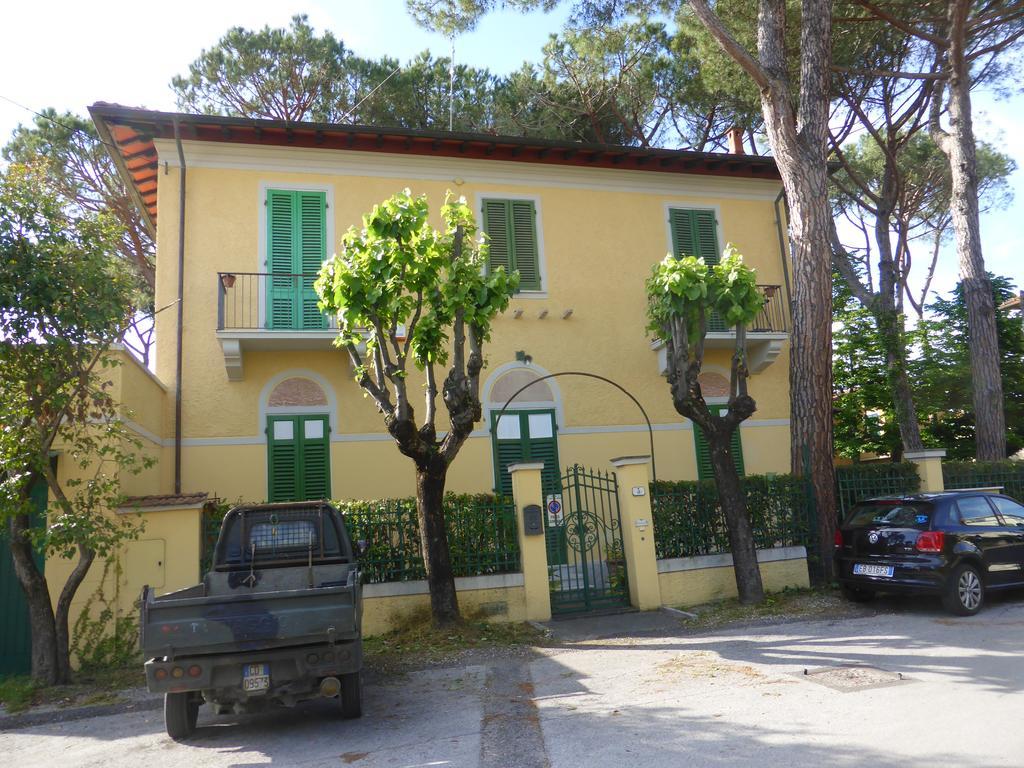 Fernanda Forte dei Marmi